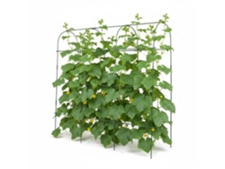 Relaxdays Treliça Para Trepadeiras, Suporte Metálico Com Rede E Acessórios, 182×183×43 Cm, Hortícolas, Verde