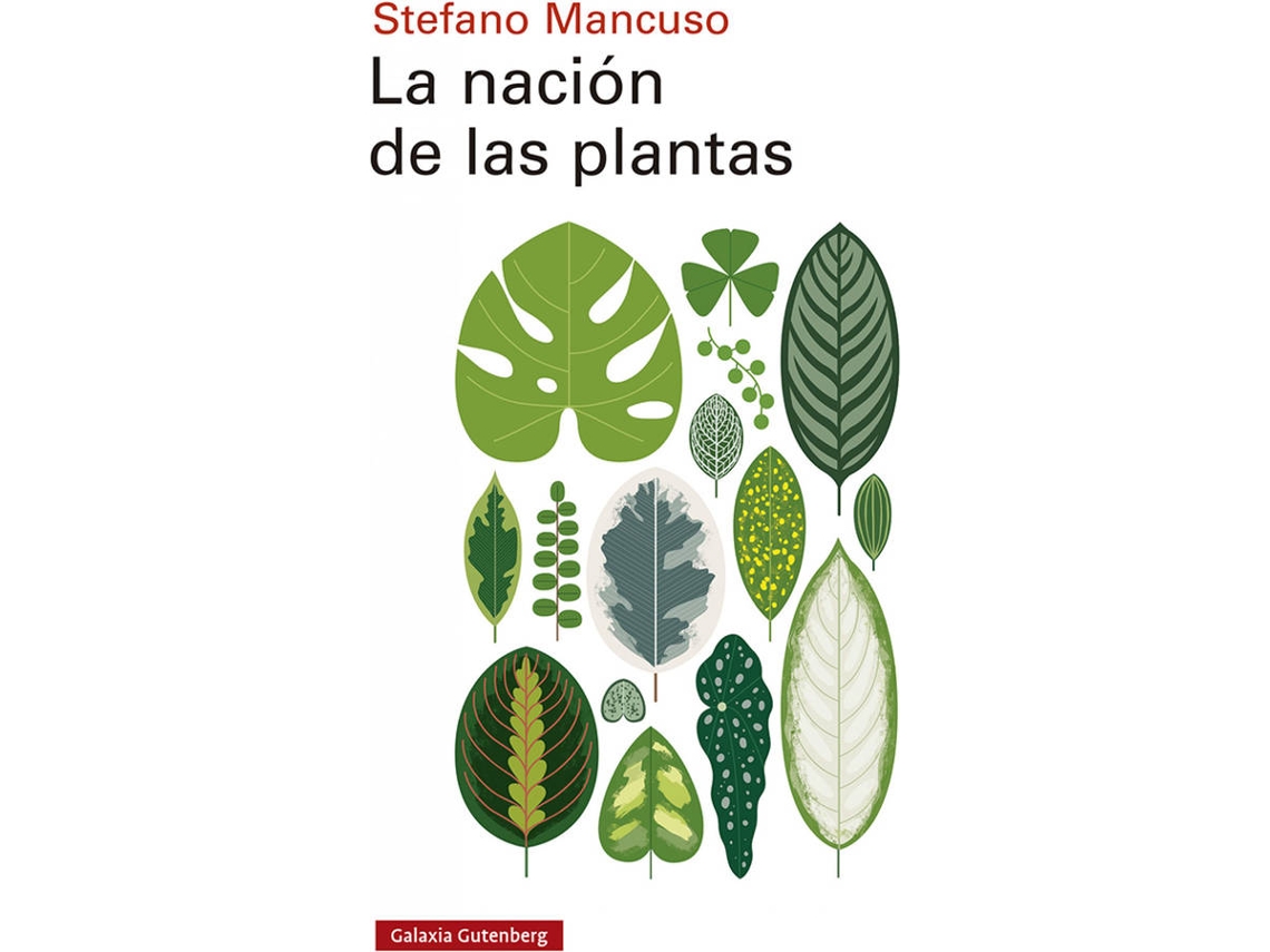 Libro La Nación De Las Plantas de Stefano Mancuso (Español)