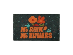 Felpudo entrada casa “no rain no flowers” de coco con base antideslizante de PVC Felpudo exterior original Pintado a mano Medidas:70 cm x 40cm FISURA