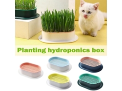 Plato De Cultivo Hidropónico Sin Tierra Para Gatos, Caja De Cultivo De Plástico Para Perros Y Gatos, Pet Blanco Azul