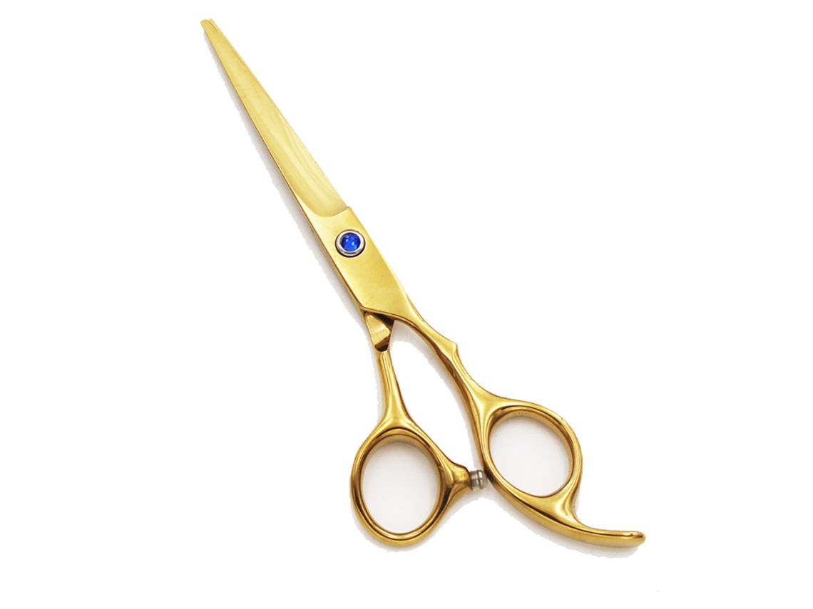 Tijeras profesionales para cortar el cabello de peluquero - Tijeras de salón de acero inoxidable - Longitud total de 5,5 JEDBESETZT