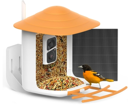 Comedero para pájaros con cámara inalámbrica para exteriores, cámara inteligente para comedero de pájaros con IA para identificar especies de aves,...