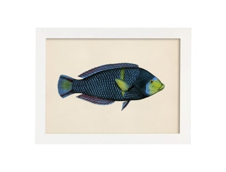 Póster NACNIC de Pez Azul y Verde en , Fondo Papel Vintage.