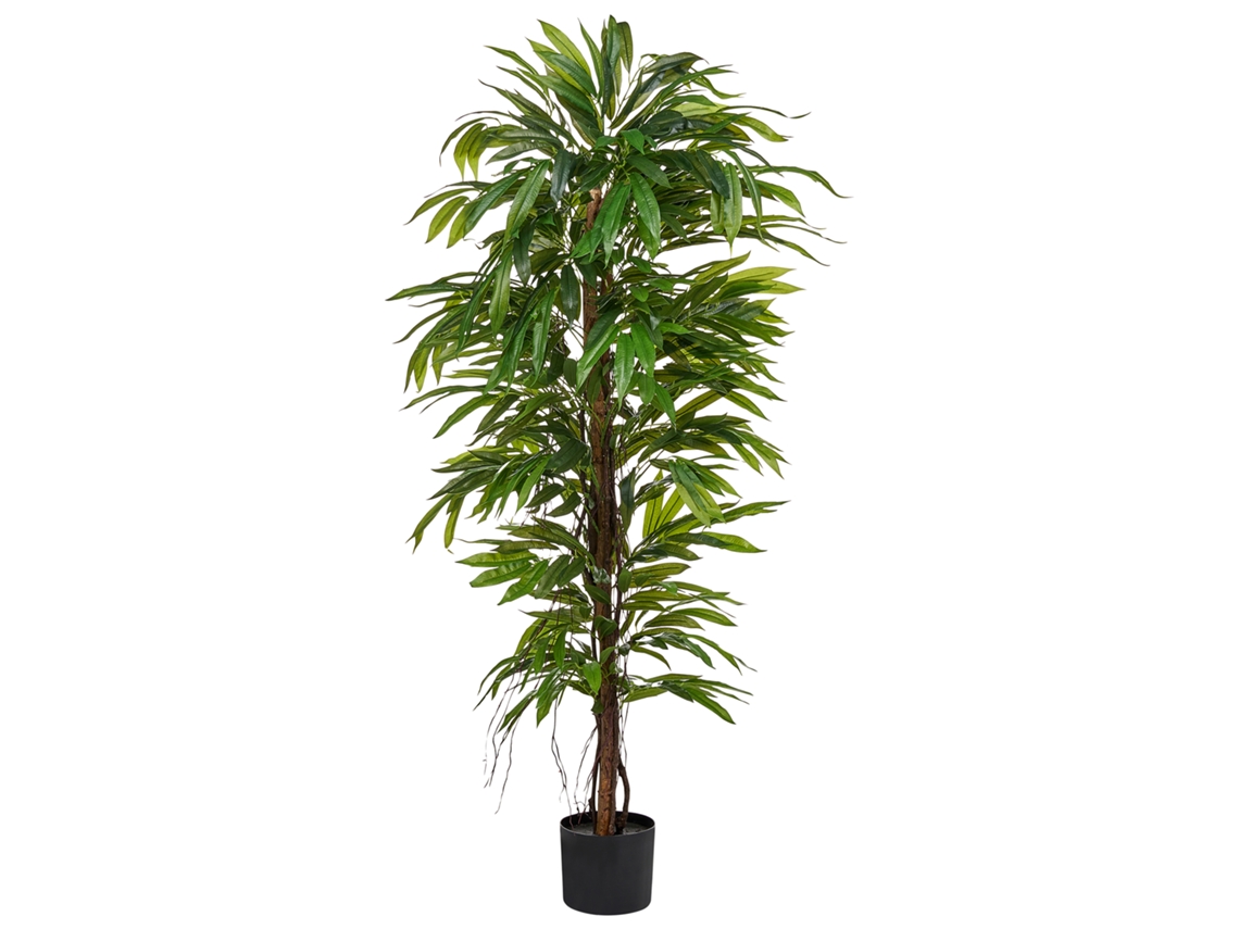 Planta Artificial Beliani Longifolia De Material Sintético Verde 70x70x155