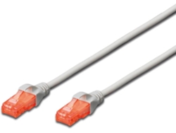 Cable de Red EWENT (RJ45 - 50 cm - Blanco)