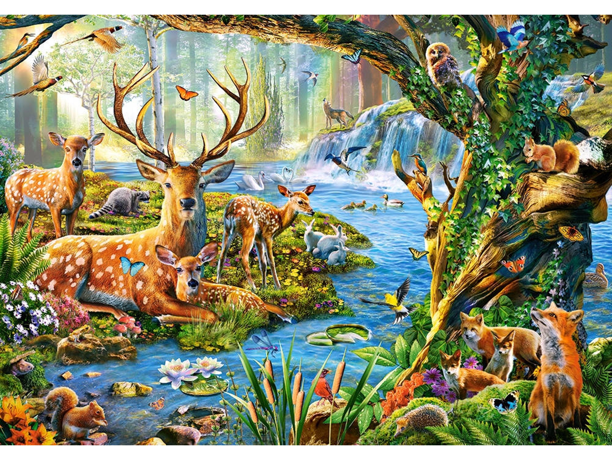 Puzzle CASTORLAND Forest Life (500 Piezas)