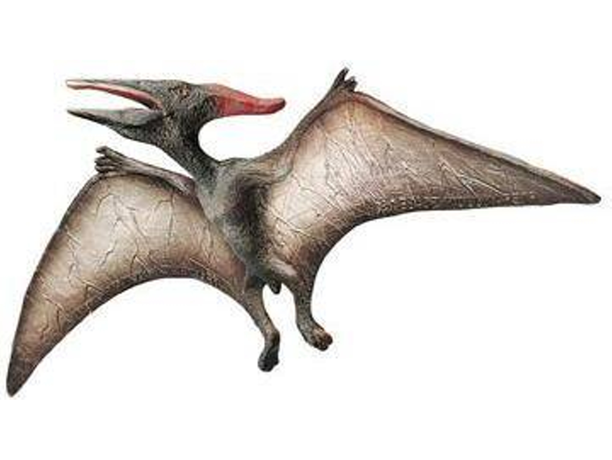 Figura de Jugar BULLYLAND Pteranodon