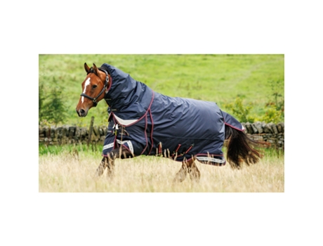 Manta de exterior para caballos LEMIEUX Kudos Thermo Layer 300g