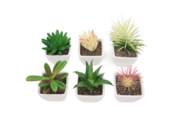 6 Suculentas Artificiales En Maceta De Plástico, Plantas Decorativas Artificiales Para Sala De Estar U Oficina.
