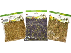 Suplemento Alimentar YNSADIET (50 Gr)