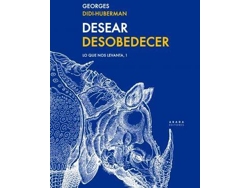 Libro Desear Desobedecer de Didi-Huberman Georges (Español)