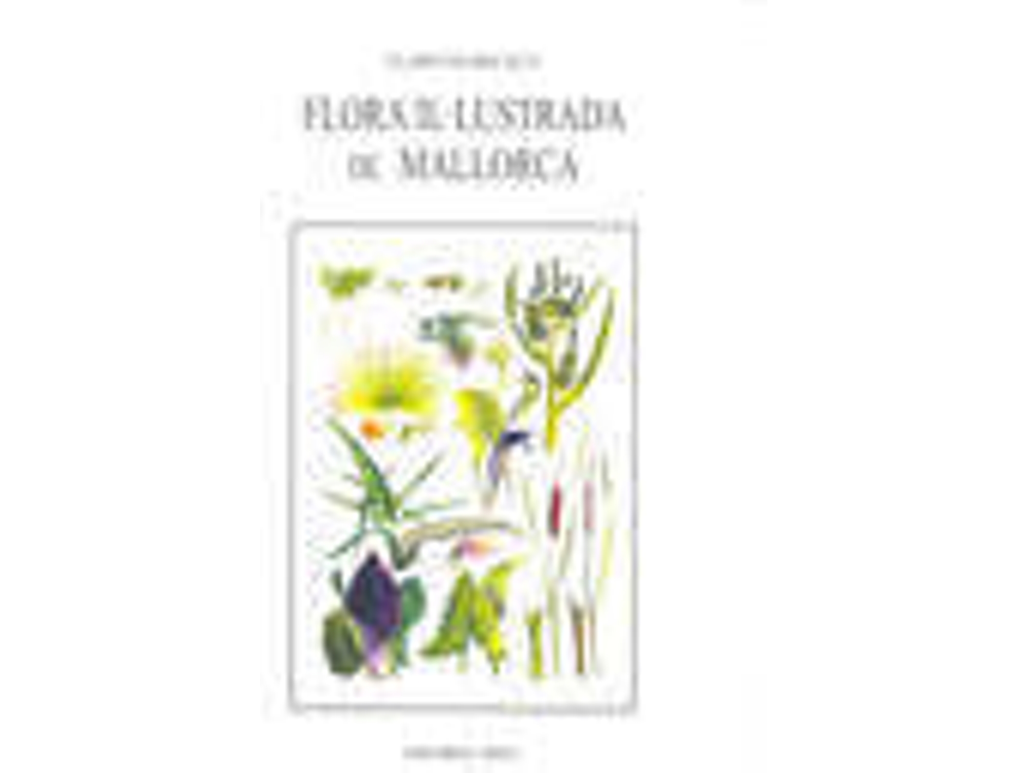 Libro Flora Il.Lustrada De Mallorca de Elspeth Becket