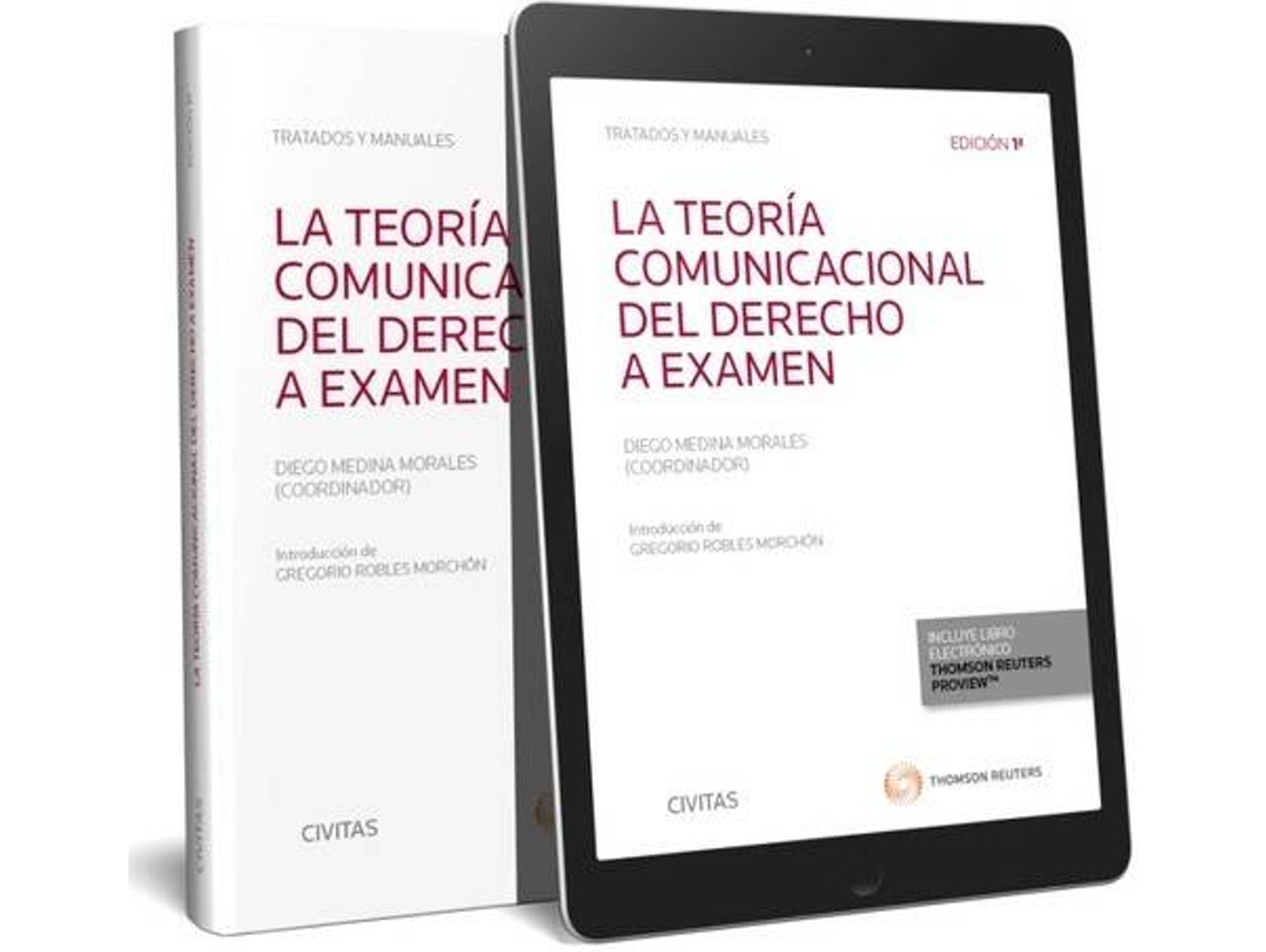 Libro La Teoría Comunicacional Del Derecho A Examen de Anzalone Angelo (Español)