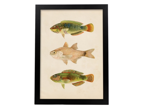 Póster NACNIC de Tres Peces Verdes Marron en , Fondo Papel Vintage.
