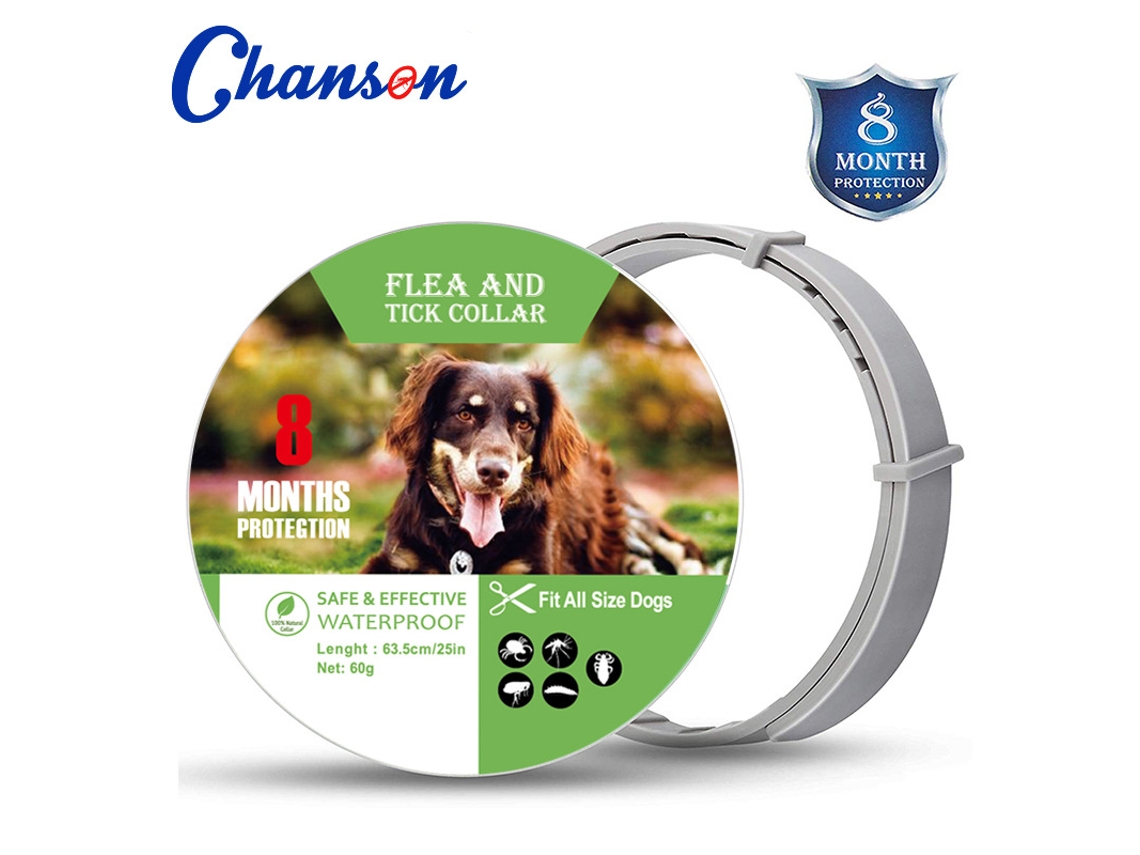 Collar Antiparasitario Para Perros, 8 Meses De Protección, Seguro, Impermeable Y Ajustable.