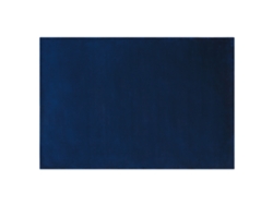 Alfombra de pelo corto BELIANI Gesi ii de Viscosa Azul 140x200