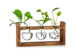 2026-vasos De Vidrio Para Plantas Con Base De Madera Terrario Esférico Para Hogar Oficina Jardín 3 Unidades