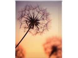Estor Enrollable HAPPYSTOR Estampado Digital Paisajes HSP93001 180x250 cm