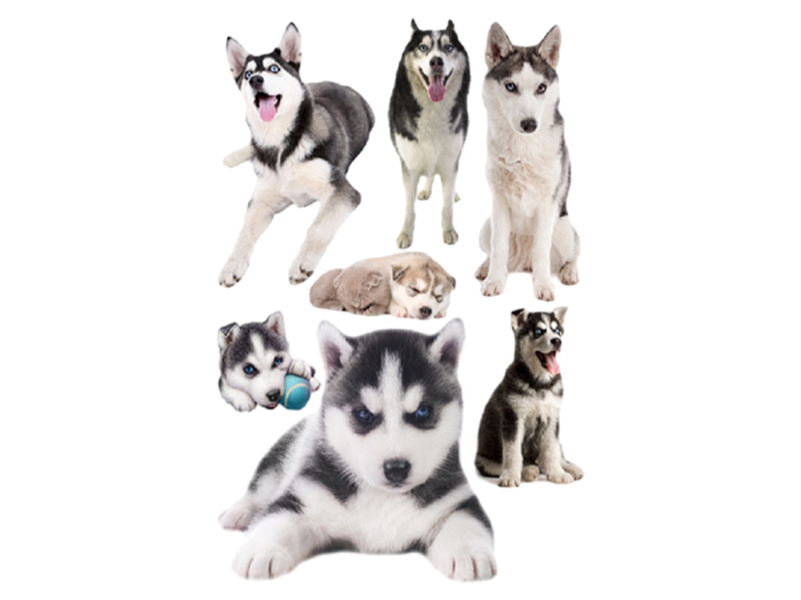 Pegatinas de Perros 3D Decoración para Habitaciones