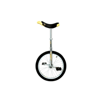 Monociclos, Diciclos y Segway
