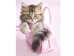 Mini póster (minnie) de Rachael Hale B.active