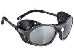 Gafas de Ciclismo ALPINA Sibiria (Estandár - Cat.4)
