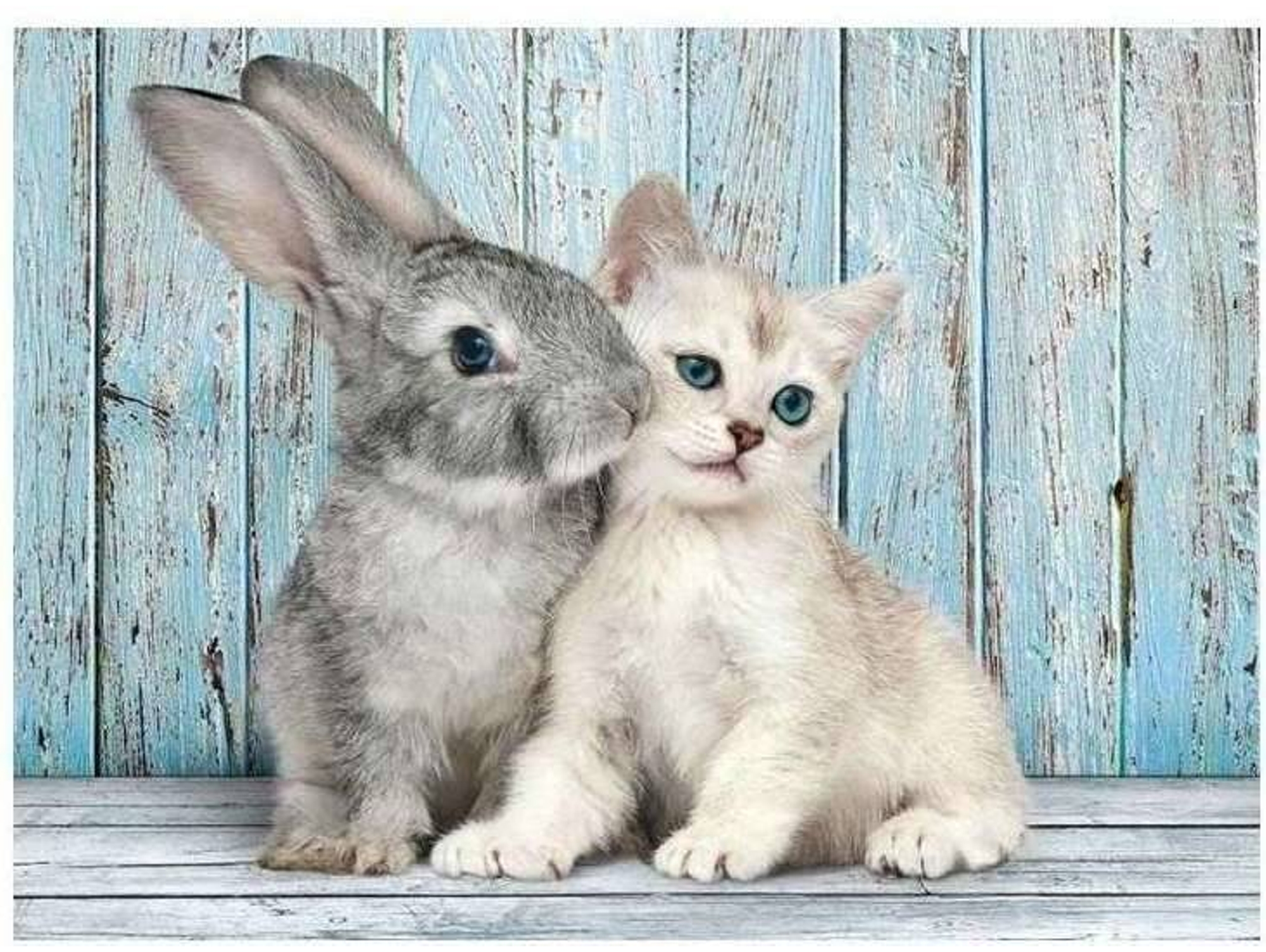 Puzzles CLEMENTONI 500 Gato Y Conejo