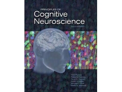 Libro Principles of Cognitive Neuroscience de Dale Purves, Kevin S Labar et al. (Inglés - Tapa Dura)