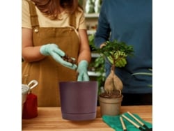 Conj. Vasos De Plantas Interiores Com Orifícios E Base Removível, De Estética, Também Para Jardins Ao Ar Livre.