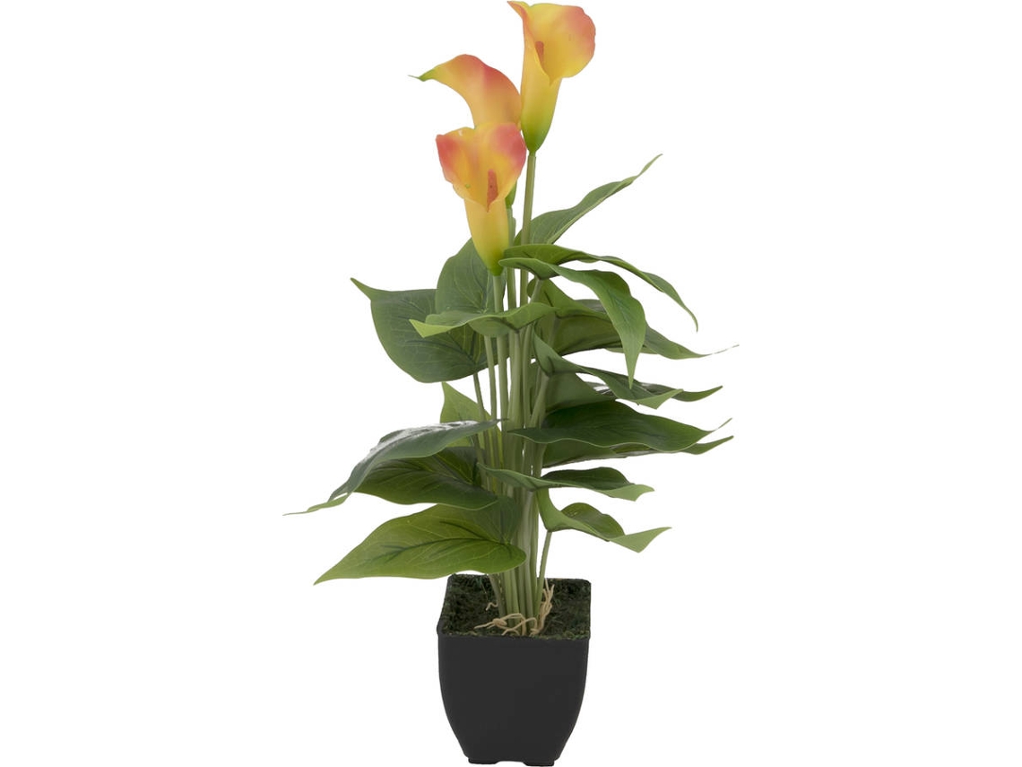 Planta Artificial EUROPALMS Mini Calla (Amarillo - 43 cm)