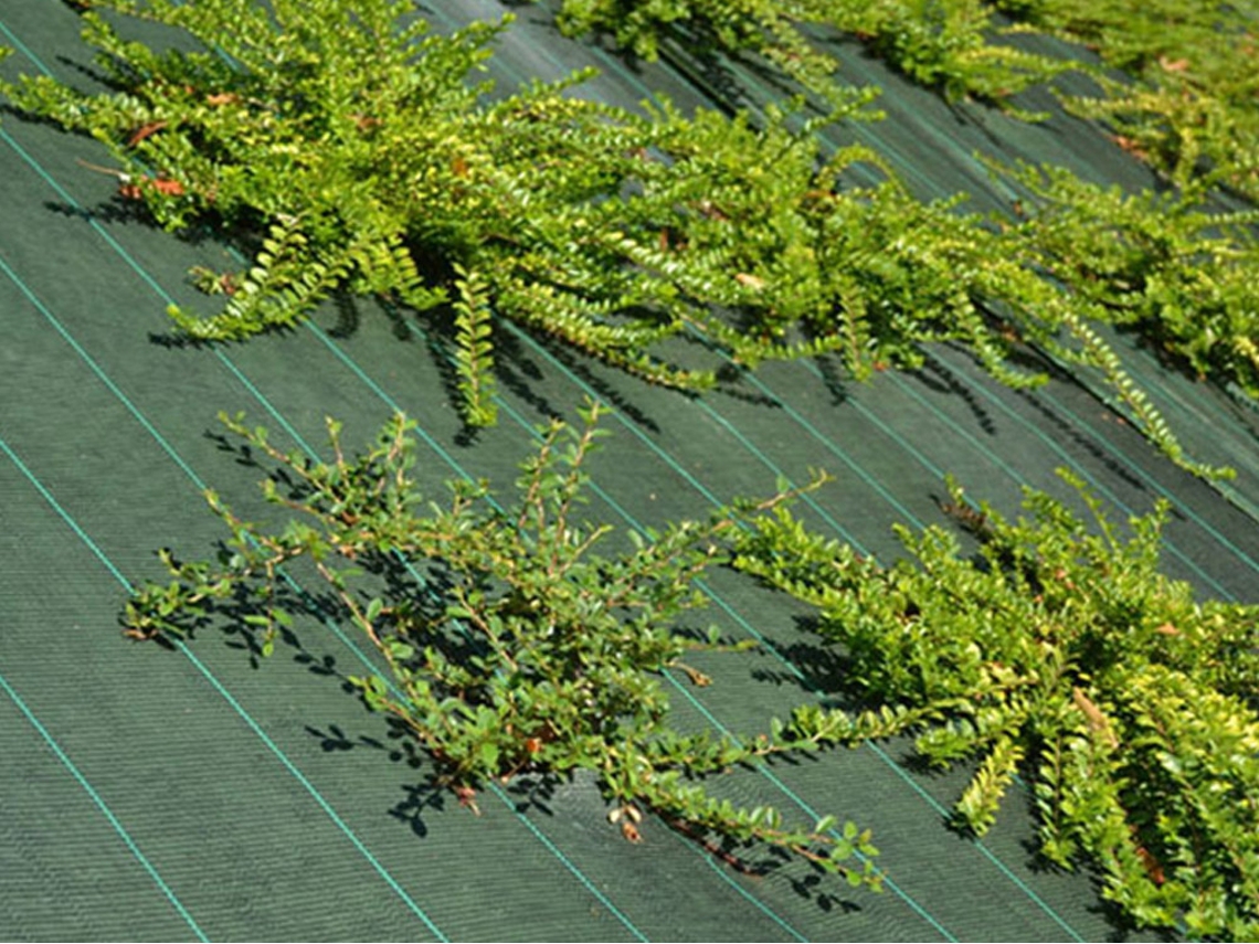 Agrotextil - Verde - 130gr/m - 3.30m x 100m MAILLE STORE