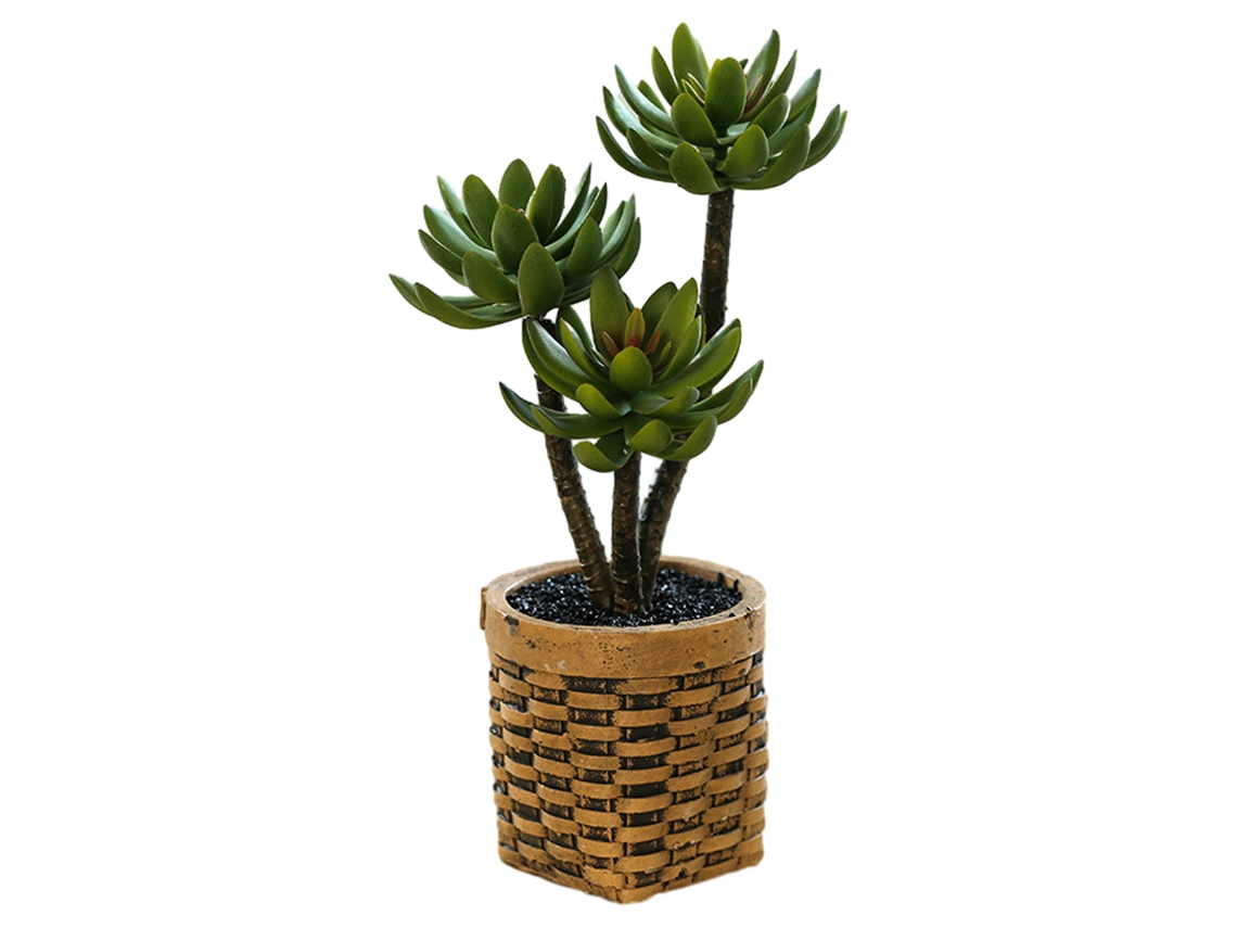 Suculentas artificiales, bonsáis, decoración creativa del hogar, plantas artificiales en macetas. NEVEANCE