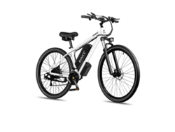 Bicicleta de montaña eléctrica Rincc RN50 de 29 pulgadas con motor de 750 W y batería de 48 V y 15 Ah.