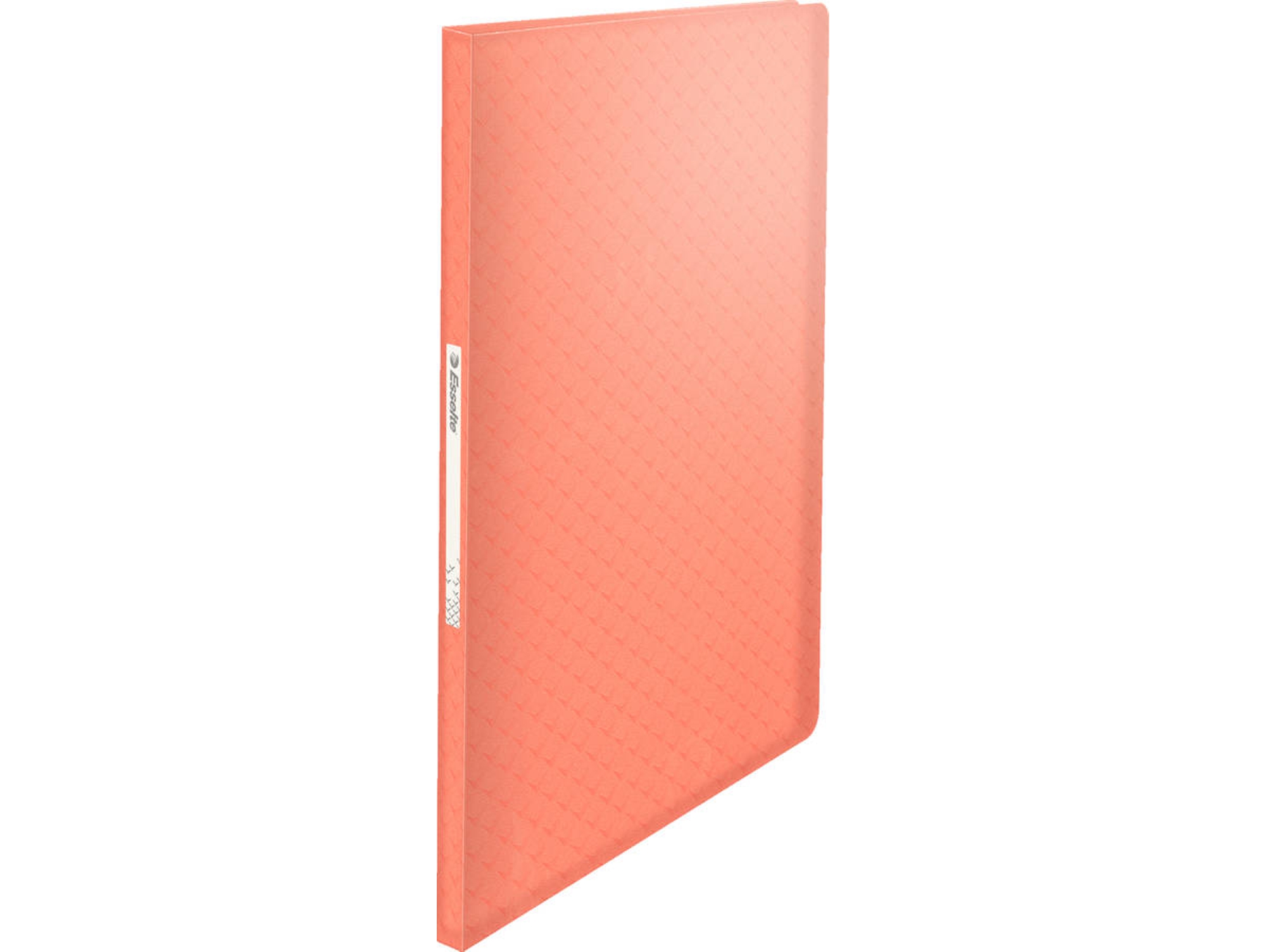 Carpeta ESSELTE 626226 (A4 - 23.3x31cm - Polipropileno)