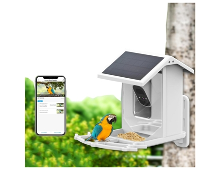 Cámara inteligente para observación de aves al aire libre, con IA para identificar especies de aves, carga solar, captura automática de videos de C...