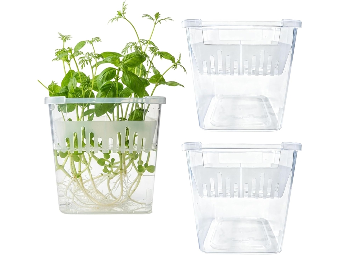 Macetas De Rejilla Para Hidroponía - 3 Unidades Macetas Transparentes Para Propagación De Plantas Macetas De 10 Cm Para