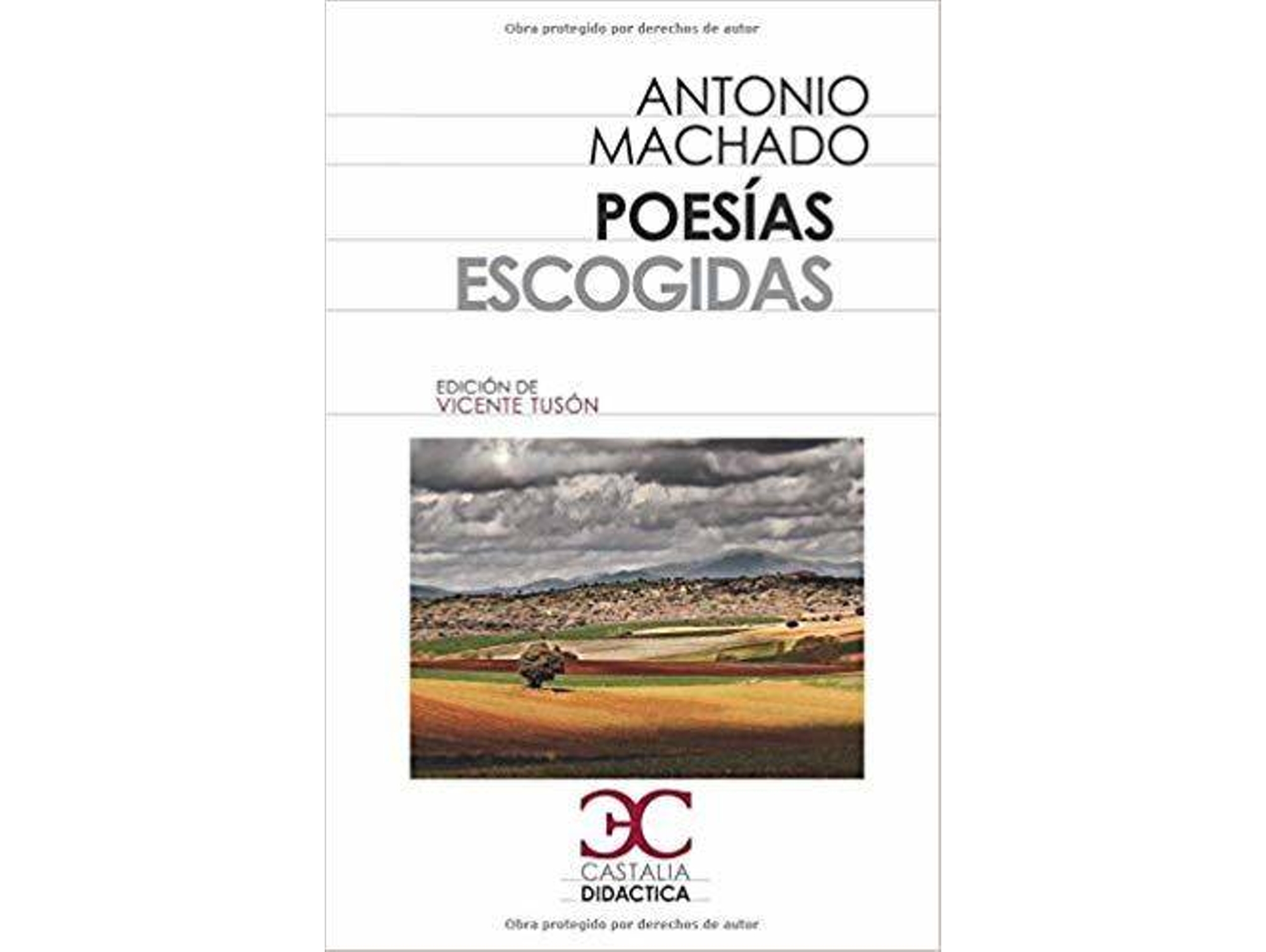 Libro Poesías Escogidas de Machado Antonio (Español)