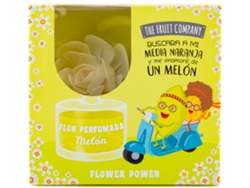 THE FRUIT COMPANY Ambientador Flor Perfumada Melón 50 Ml