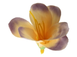 Ramo de novia de 20 piezas con flores decorativas Yellowslowmoose