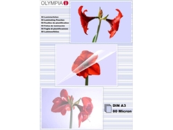 Fundas de Plastificar OLYMPIA 1x25 DIN A3 80 micron (25 un - A3)