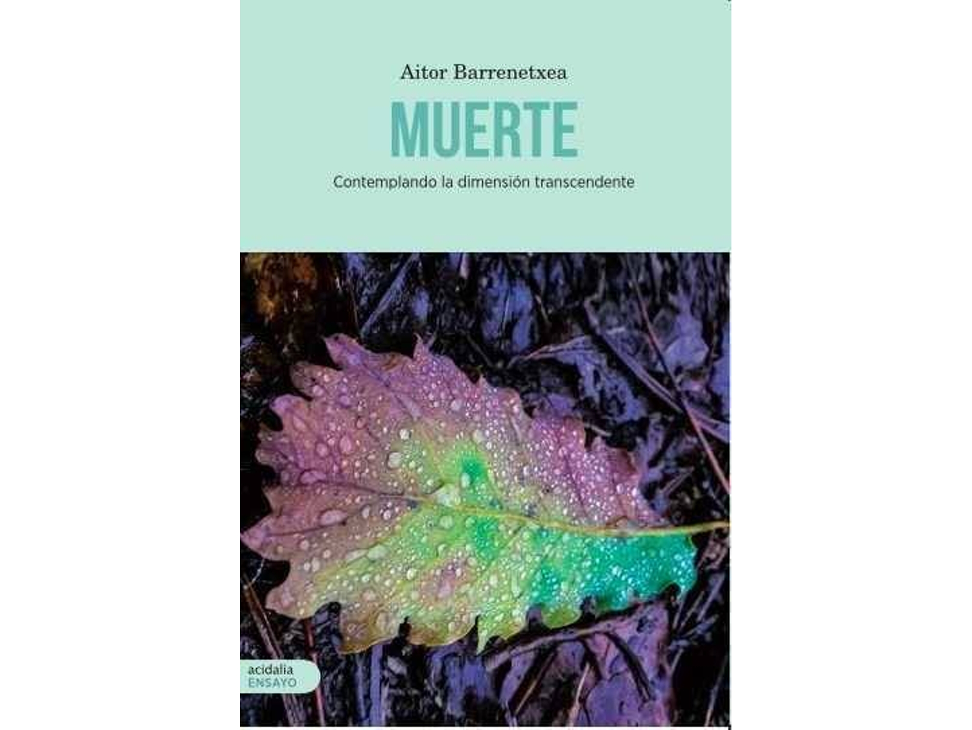 Libro Muerte de Aitor Barrenetxea (Español)