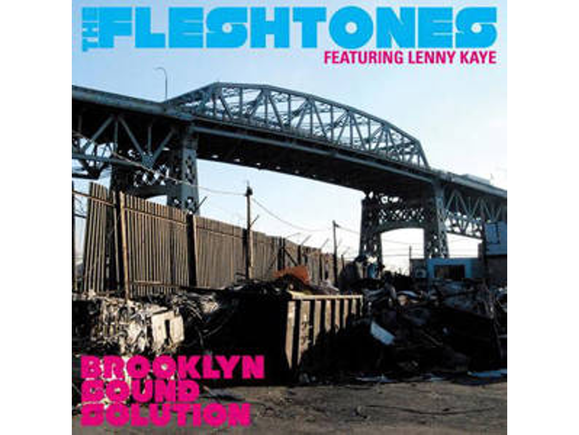 CD + DVD The Fleshtones & Lenny Kaye - Brooklyn Sound Solution