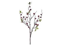 Ramo de flores Albi con 20 frutos rojos, 86 cm