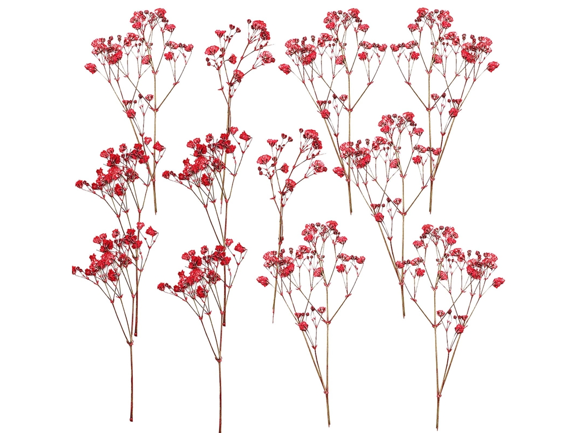 12 flores secas de Baby Alien para decoración DIY