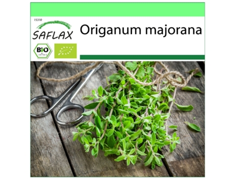 SAFLAX Garden to go Ecológico Mejorana 700 semillas Con maceta, tapa climática y sustrato de cultivo Origanum majorana