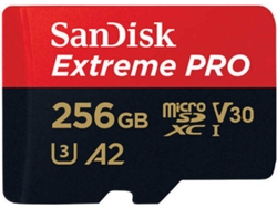 C MEM EXT PRO MICROSDXC 256GB+SD