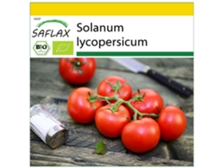 SAFLAX Conjunto de cultivo Ecológico Tomate Matina 10 semillas Con mini invernadero, sustrato de cultivo y 2 macetas Solanum lycopersicum