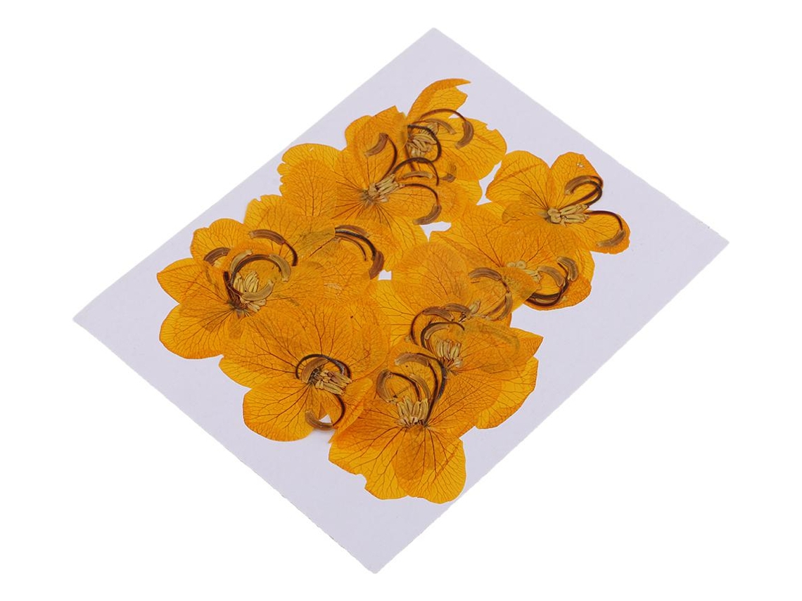 Decoración de flores secas para teléfono Doslowmoose
