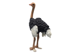 Ats-figura De Avestruz Realista Juguete Educativo Lifelike Simulado Animal Salvaje Modelo Para Niños Y Niñas