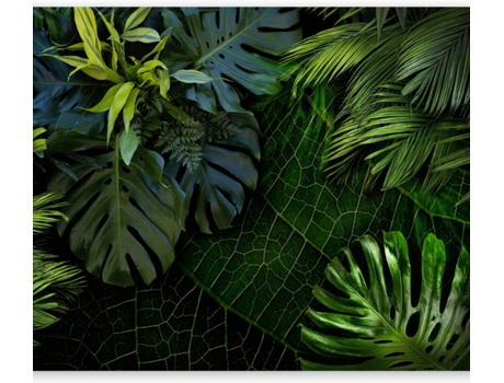 Papel de Pared ARTGEIST Dark Jungle (147x105 cm)